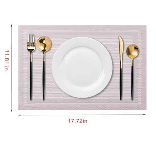 Placemats Set of 4 Washable Indoor (4 Count)