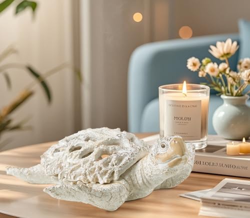 Ocean White Sea Turtle Coral Reef Beach Coastal Home Shelf Decor