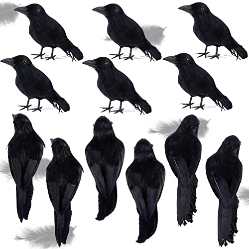 12 Pack Halloween Black Feathered Crows (12 Count)