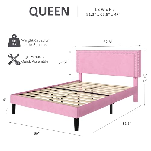 Queen Size Bed Frame with Adjustable Upholstered Headboard