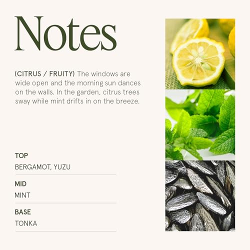 Citrus Mint Scented Candle for Home (19.4 Ounce)