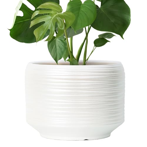 10 Inch Ceramic Plant Pot with Drainage