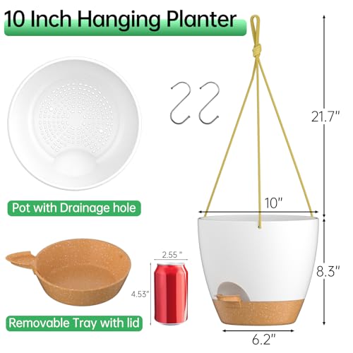 10 Inch Hanging Planters for Indoor Outdoor Plants (2 Count)