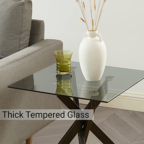 Black Square Glass Side & End Table with Grey Tempered Glass Top and Black Metal Tubular Legs with Gold Rim 20”Dx20”Wx22”H