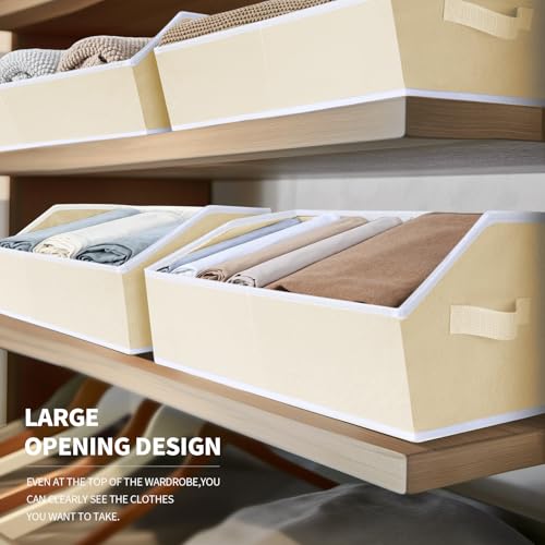 Closet Organizers and Storage Bins (8 Count)