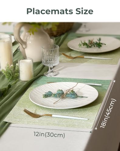Gradient Green Woven Placemats Set of 6 (3 Count)