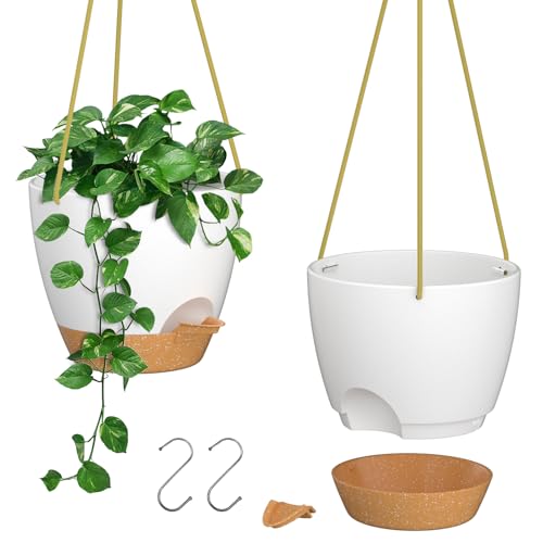 10 Inch Hanging Planters for Indoor Outdoor Plants (2 Count)