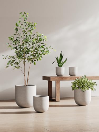 8 Inch Plant Pot