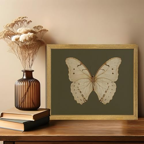 Wood Framed Butterfly Wall Art