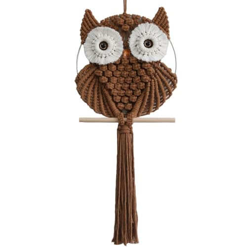 Owl Macrame Wall Hanging