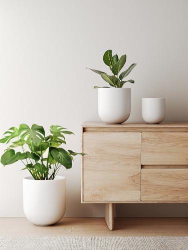 10 Inch Plant Pot