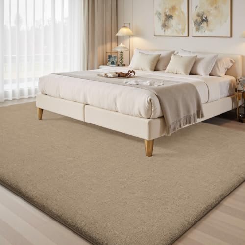 4x6 Area Rugs for Living Room Bedroom