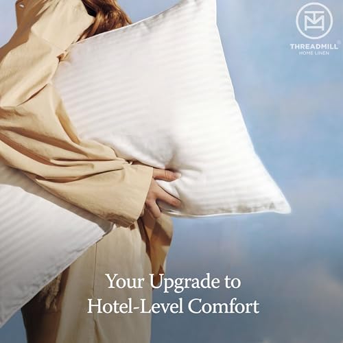 300 Thread Count Cotton Standard Pillow (2 Count)