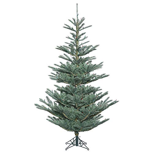 G160460 Alberta Blue Spruce Christmas Tree