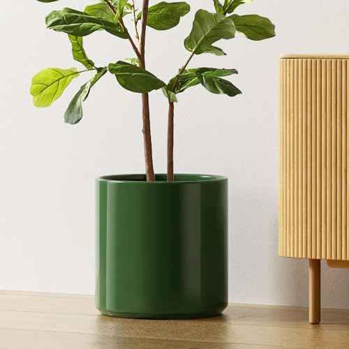 12 Inch Pot for Plants