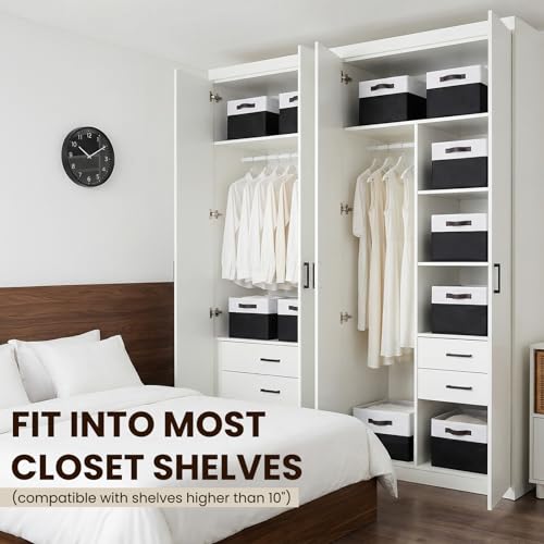 6 Pack Closet Organizers and Storage Bins (6 Count)
