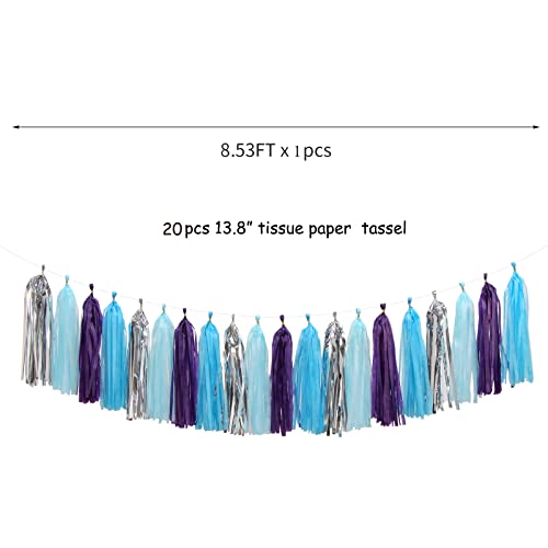 Purple Blue Silver Frozen Party (20 Count)