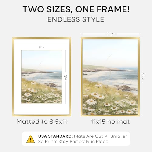 11x15 Gold Picture Frame (2 Count)