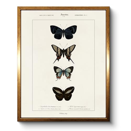 Vintage Four Butterfly Gold Framed Halloween Wall Art