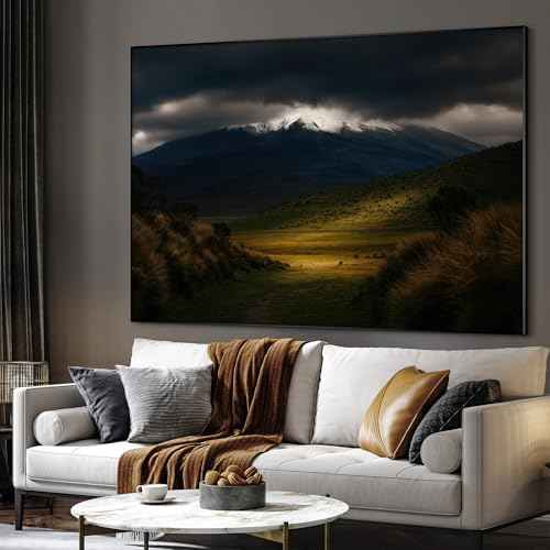 60"x72" Extra Large Framed Wall Art Majestic Snow