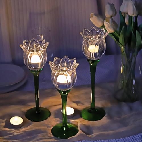 Tulips Clear Candle Holder Holder Set of 3 (3 Count)