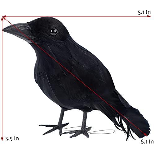 12 Pack Halloween Black Feathered Crows (12 Count)