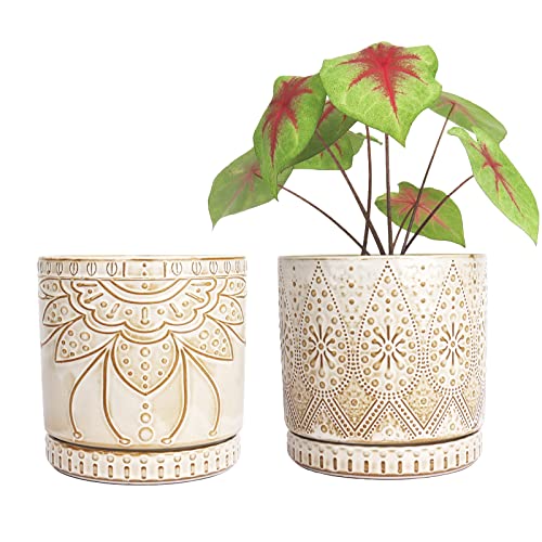 6 Inch Indoor Plant Pots with Drainage Holes and Saucers (2 Count)