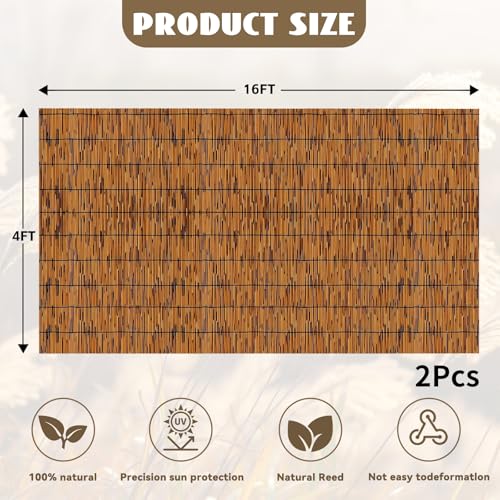 Bamboo Reed Fencing (256 Sq Ft)