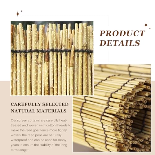 Natural Reed Fencing Rolls (60 Sq Ft)