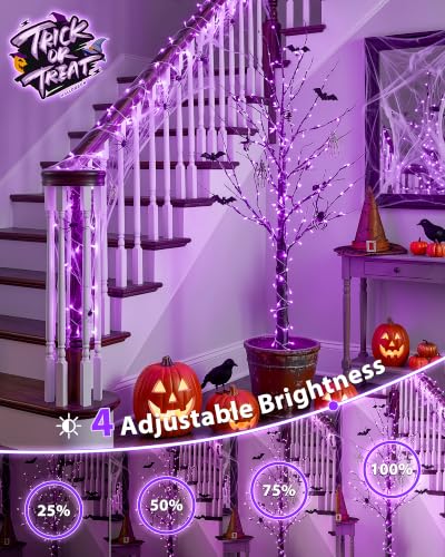 33FT 100 LED Purple Halloween Christmas Fairy Twinkle String Lights (33 Foot)