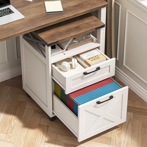 Office Filing Vertical Cabinet with 2 Drawers