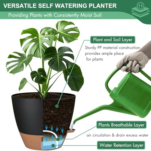 2 Pack 10 inch Plant Pots (2 Count)