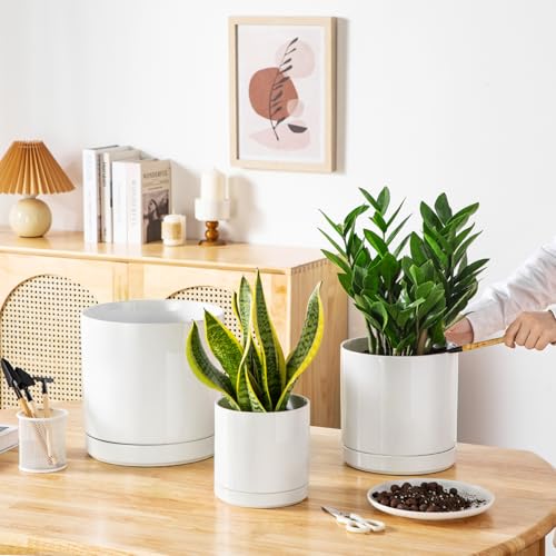 Ceramic Planters (3 Count)