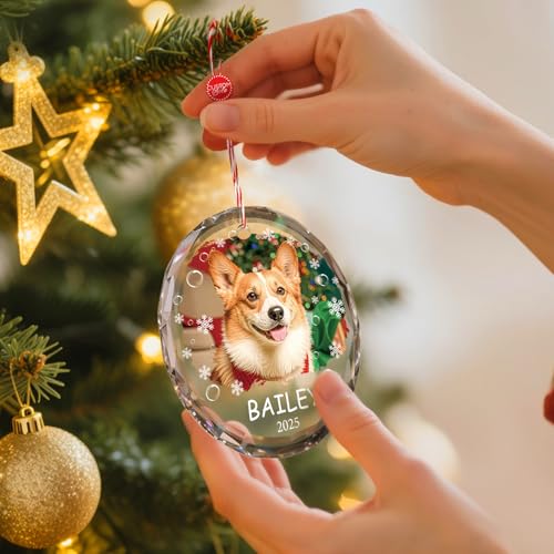 Personalized Dog Cat Ornaments with Photo Text