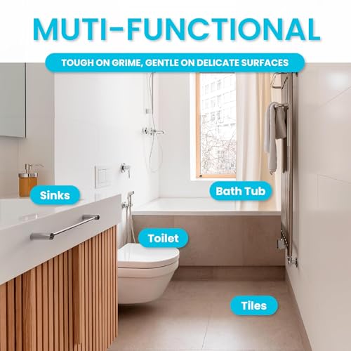Pumice Stone Toilet Bowl Cleaner (2 Count)