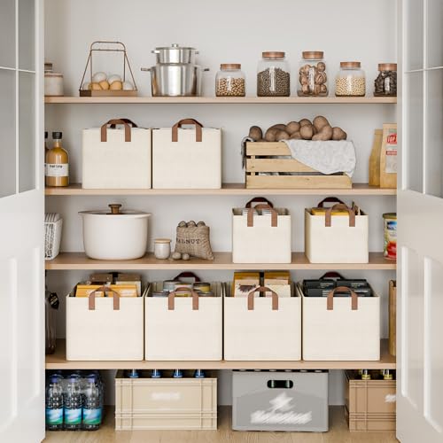 Closet Storage Bins (2 Count)