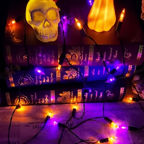 Halloween Lights (50 Count)