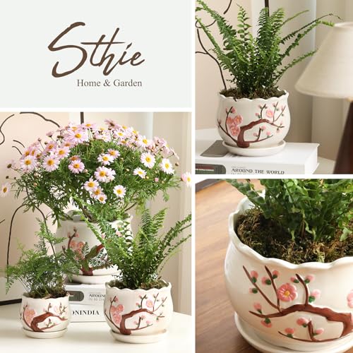 Ceramic Plant Pots with Drainage Holes and Saucers (3 Count)