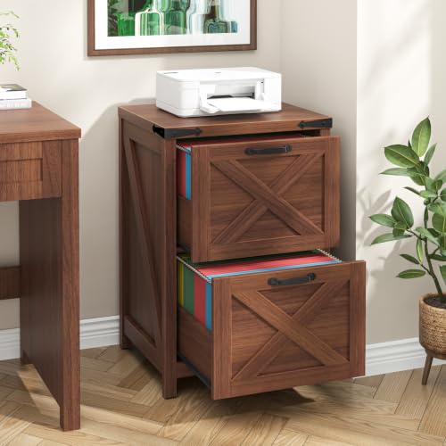 Vertical File Cabinet with 2 Drawers for Home Office