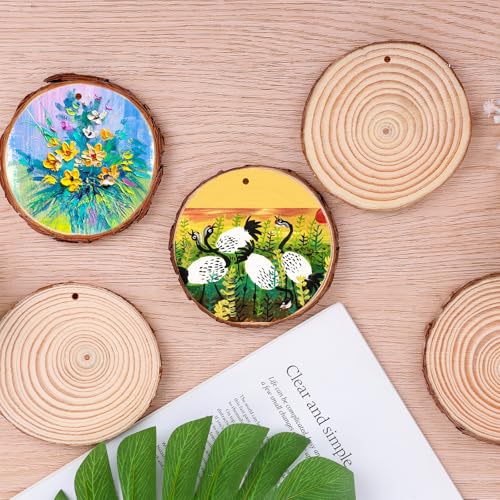 30 Pack Wood Slices for Crafts (30 Count)