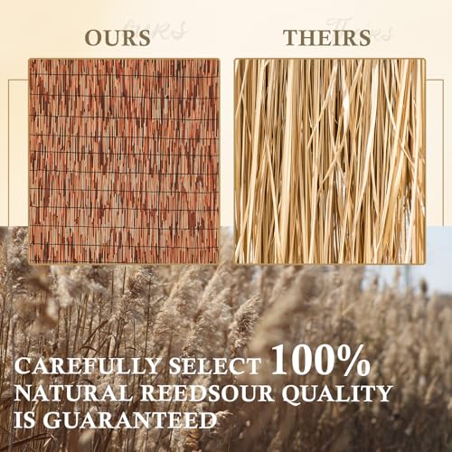 Brown 2 Pack 4FT X16.4FT Reed Fencing Roll Bamboo Privacy Screen (2 Count)