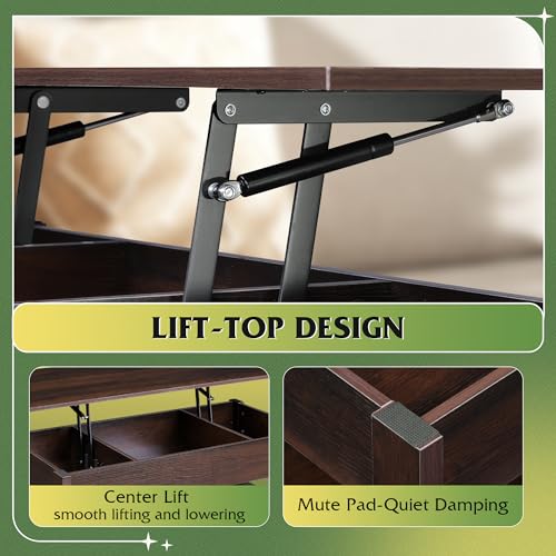 Lift Top Coffee Table with 2 Drawers Storage
