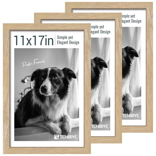11x17 Picture Frame 3 Pack (3 Count)