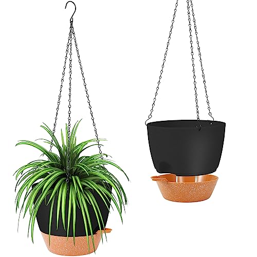 Hanging Planter (2 Count)
