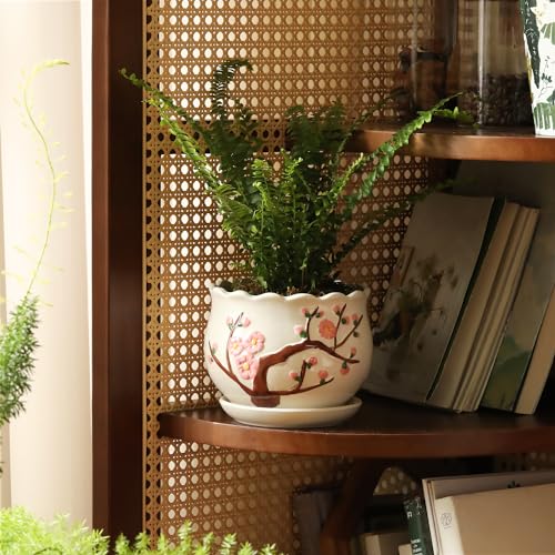 Ceramic Plant Pots with Drainage Holes and Saucers (3 Count)