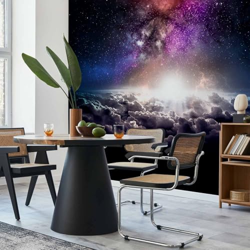 Wall Mural Wallpaper (4 Count)