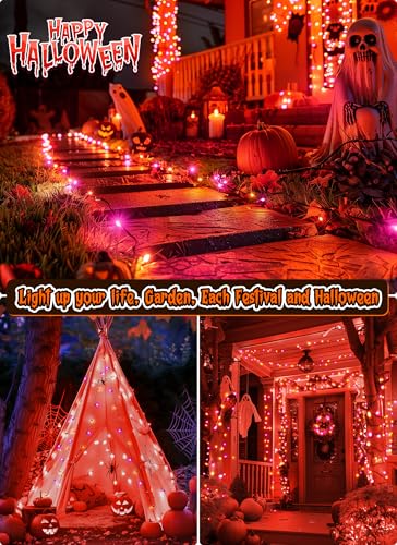2 Pack Orange & Purple Halloween Mini Lights (2 Count)