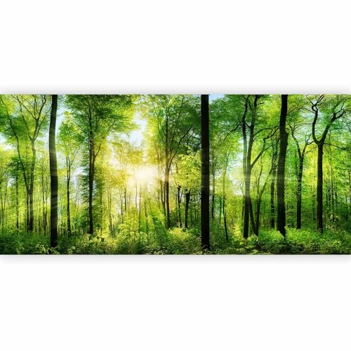 Peel and Stick Wall Mural (144.27 Sq Ft)