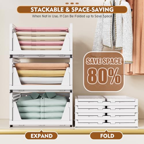 8 Pack Closet Organizers and Storage (8 Count)