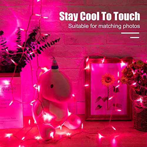 Pink Mini Christmas Lights